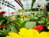 Monmouth County Nursery, monmouth county Garden Center, Colonial Nursery