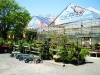 Monmouth County Nursery, monmouth county Garden Center, Colonial Nursery