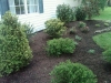 img01418-20120508-0948