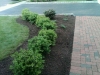 img01419-20120508-0949