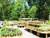 Monmouth County Nursery and Garden Center, Colonial Nursery