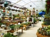 Monmouth County Nursery and Garden Center, Colonial Nursery