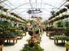 Monmouth County Nursery and Garden Center, Colonial Nursery