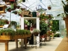 Monmouth County Nursery and Garden Center, Colonial Nursery