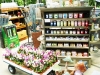 Monmouth County Nursery and Garden Center, Colonial Nursery