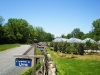 Monmouth County Nursery and Garden Center, Colonial Nursery