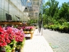 Monmouth County Nursery and Garden Center, Colonial Nursery