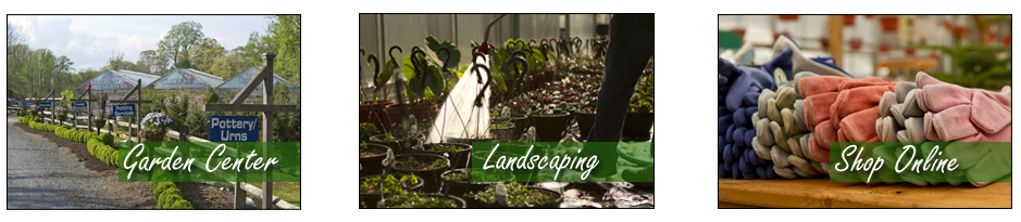 Colonial Nursery, NJ Garden Center