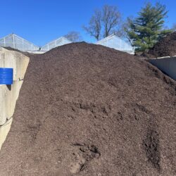 Compost