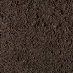 Top Soil Screened